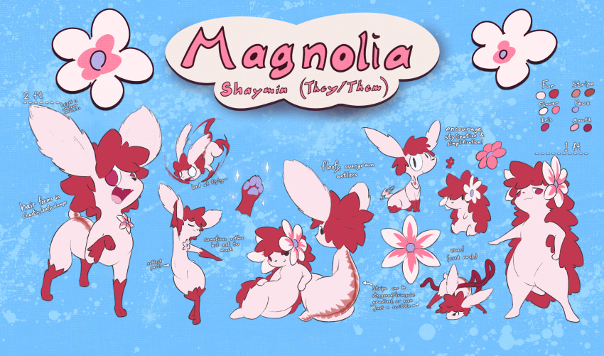 absurd_res ambiguous_gender anthro feral flower generation_4_pokemon herm_(lore) hi_res land_forme_shaymin legendary_pokemon magnolia_(shaymin) model_sheet muzzzzz nintendo nonbinary_(lore) paws plant pokemon pokemon_(species) semi-anthro shaymin sky_forme_shaymin solo