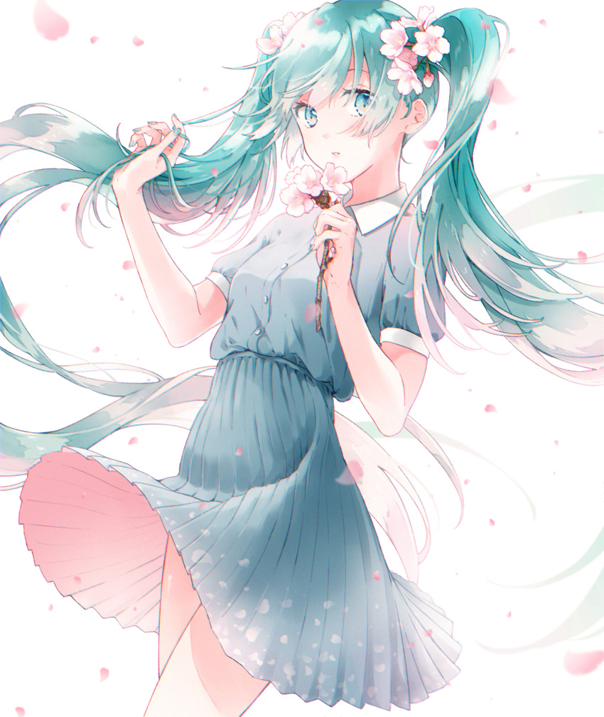 aqua_hair aqua_nails blue_eyes blue_shirt blue_skirt collared_shirt dress_shirt female floating_hair flower hair_flower hair_ornament hatsune_miku highres holding holding_flower long_hair looking_at_viewer medium_skirt nail_polish parted_lips pleated_skirt shirt short_sleeves simple_background skirt solo tadano_yukiko twintails very_long_hair vocaloid white_background white_flower wing_collar