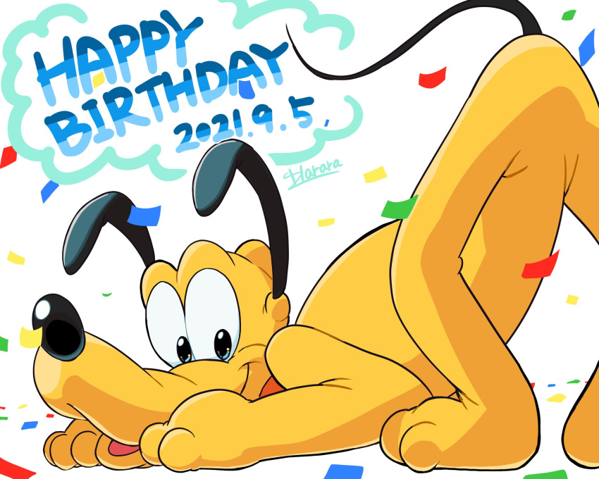 2021 anniversary black_ears black_eyes black_nose canid canine canis collar confetti disney domestic_dog feral happy_birthday harara hi_res looking_at_viewer mammal pluto_(disney) quadruped red_collar signature simple_background solo white_background yellow_body