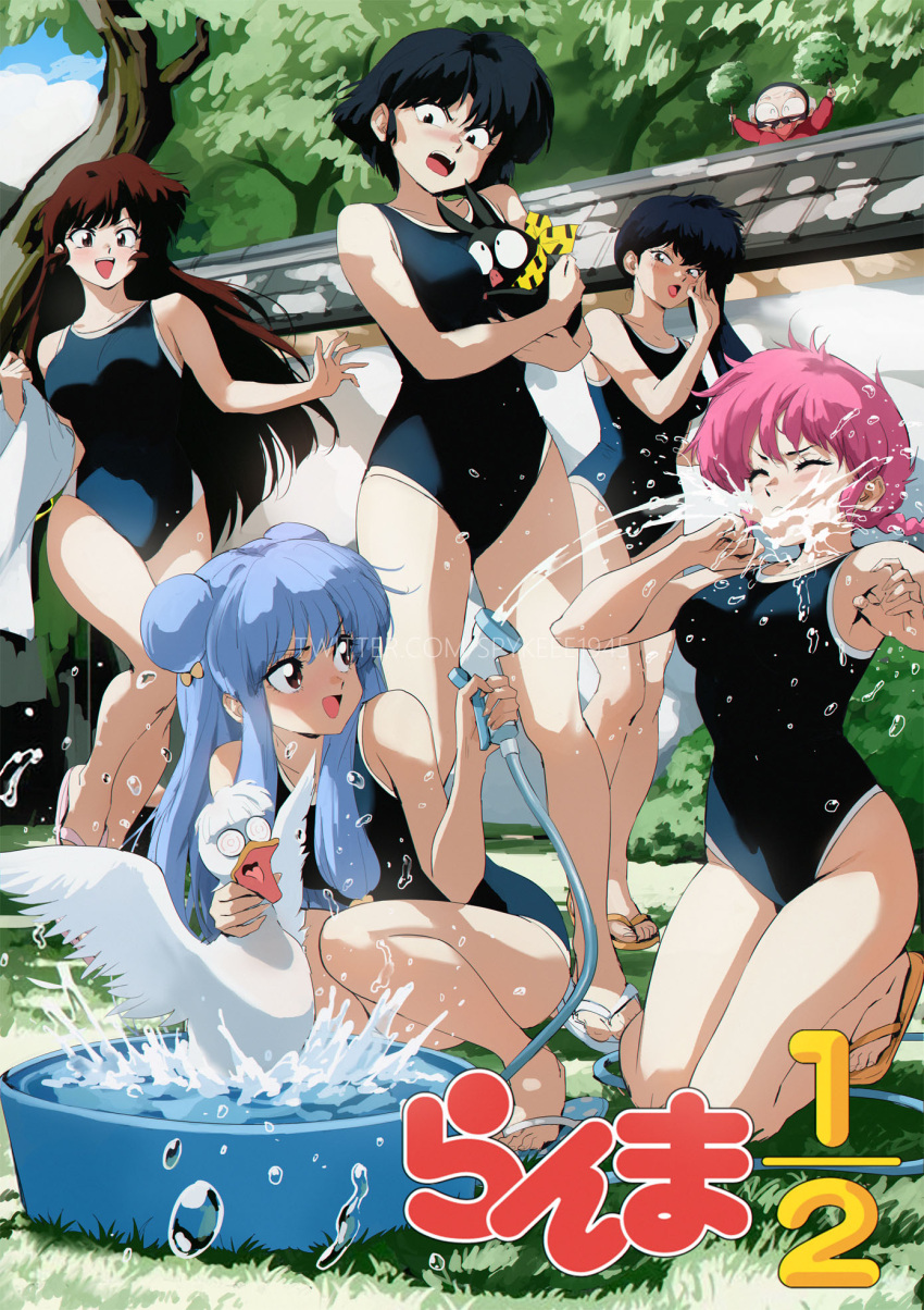 1boy 5girls between_breasts black_hair black_one-piece_swimsuit blue_hair braid breasts brown_hair flip-flops happosai head_between_breasts highres hose kunou_kodachi kuonji_ukyou logo long_hair medium_breasts mousse_(duck)_(ranma_1/2) mousse_(ranma_1/2) multiple_girls old old_man one-piece_swimsuit outdoors p-chan piglet pink_hair ranma-chan ranma_1/2 sandals shampoo_(ranma_1/2) short_hair spykeee swimsuit tendou_akane twitter_username water