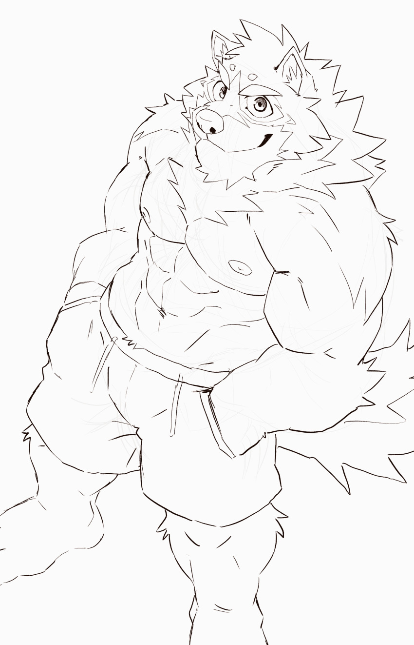 abs absurd_res anthro barrel_(live_a_hero) biceps bottomwear canid canine canis clothing heylaw21 hi_res lifewonders line_art live_a_hero male mammal muscular muscular_anthro muscular_male nipples pecs shirtless shorts solo wolf