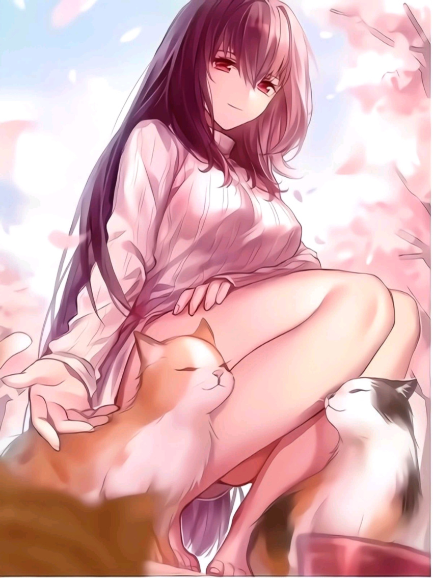 absurdres animal_ears bare_legs barefoot bowl breasts cherry_blossoms eyebrows_hidden_by_hair fate/grand_order fate_(series) feline female hair_between_eyes highres long_hair looking_at_viewer purple_eyes purple_hair qiongsheng scathach_(fate) smile solo squatting sweater