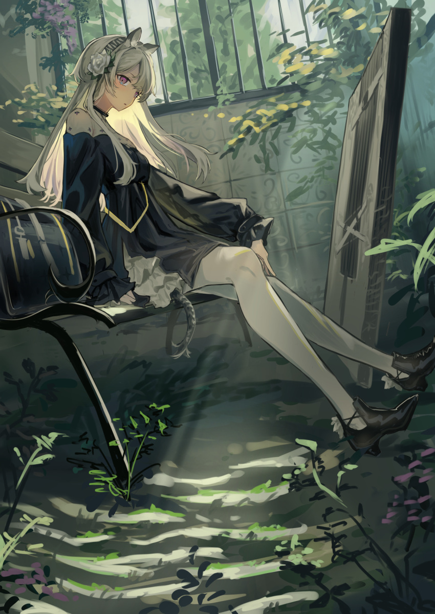 animal_ear_fluff animal_ears arknights bench black_dress black_footwear dark-skinned_female dark_skin day dress female flower from_side full_body gloves hair_flower hair_ornament hairband heavyrain_(arknights) heavyrain_(tranquil_moss)_(arknights) high_heels highres horse_ears horse_tail long_hair long_sleeves looking_at_viewer looking_to_the_side natsuba002 official_alternate_costume pantyhose park_bench purple_eyes rose ruins shield sitting solo striped_clothes striped_hairband sunlight tail white_flower white_gloves white_hair white_rose window