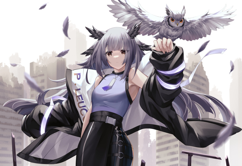 arknights bare_shoulders bird black_jacket black_skirt brown_eyes city commentary cowboy_shot female grey_hair head_wings highres jacket long_hair looking_at_viewer off_shoulder official_alternate_costume open_clothes open_jacket outdoors owl pencil_skirt ptilopsis_(arknights) purple_shirt shirt skirt sleeveless sleeveless_shirt solo standing very_long_hair wings yan_lie