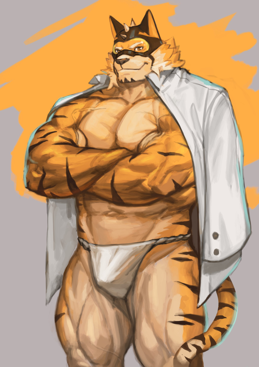 1boy abs absurdres alternate_costume animal_ears bara bare_pectorals bodysuit bulge crossed_arms facial_hair feet_out_of_frame fundoshi furry furry_male goatee highres jacket jacket_on_shoulders japanese_clothes korean_commentary large_pectorals live_a_hero male_focus male_underwear mask masked mature_male muscular muscular_male navel no_pants orange_bodysuit orange_fur pectorals ryekie_(live_a_hero) short_hair smile solo spikes stomach tail thick_thighs thighs tiger_boy tiger_ears tiger_tail traver009 two-tone_fur underwear white_male_underwear