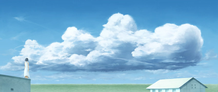 bad_id bad_pixiv_id black_hair cloud day grass highres hotaryuso house landscape original scenery short_hair sky solo