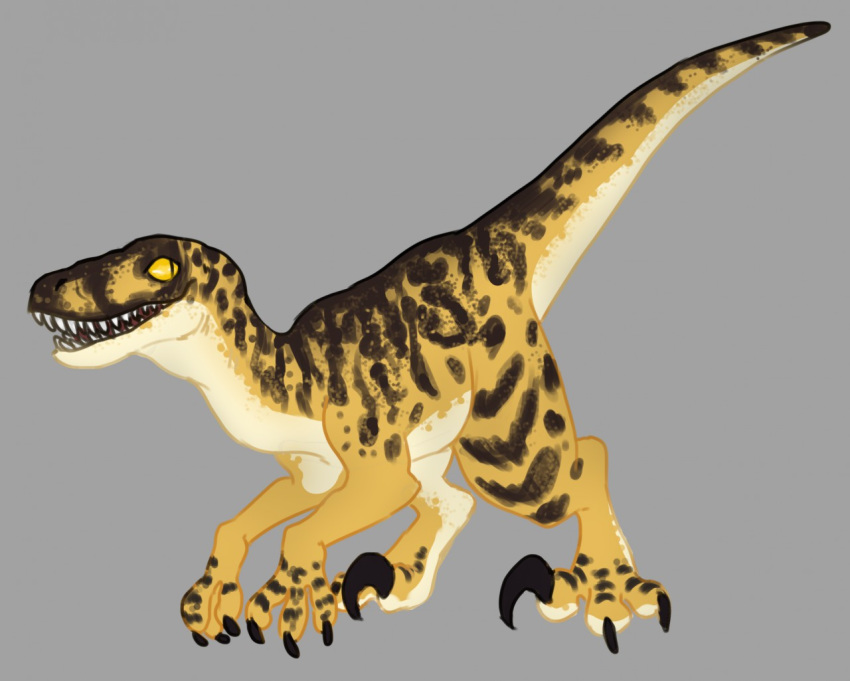 2019 claws deermary digital_media_(artwork) dinosaur dromaeosaurid extinct feral open_mouth prehistoric_species reptile scalie sharp_teeth simple_background solo teeth theropod toe_claws utahraptor yellow_sclera