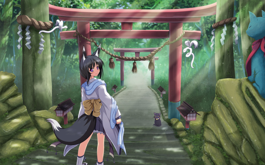 animal animal_ears black_hair feline foxgirl japanese_clothes photoshop purple_eyes scenic short_hair tail vfenster