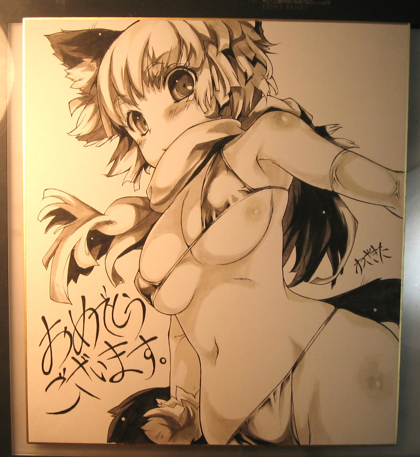 animal_ears artist_name bikini blush breasts commentary_request female highres large_breasts marker_(medium) navel original photo_(medium) photoshop_(medium) scarf shikishi short_hair solo swimsuit traditional_media underboob wazakita