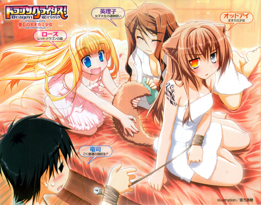 1boy 3girls :d =_= ai_(dragon_crisis!) akata_itsuki animal_ears antenna_hair barefoot blonde_hair blue_eyes breasts brown_eyes brown_hair dragon_crisis! dress highres kisaragi_ryuuji long_hair medium_breasts multiple_girls naked_towel nanao_eriko non-web_source open_mouth rose_(dragon_crisis!) smile tail tail_fondling tattoo tears towel translation_request very_long_hair wolf_ears wolf_tail