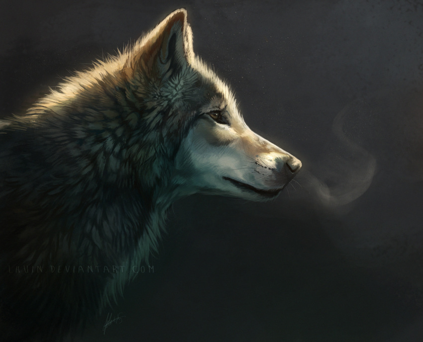 ambiguous_gender black_background black_body black_fur black_nose brown_eyes canid canine canis feral fluffy fur inner_ear_fluff johis light lighting mammal side_view signature simple_background solo text tuft url whiskers white_body white_fur wolf