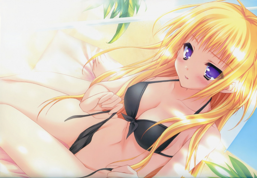 barefoot bikini black_bikini blonde_hair bloom blush breasts cleavage dutch_angle female front-tie_bikini_top front-tie_top game_cg kisaragi_mifuyu large_breasts long_hair looking_at_viewer medium_breasts moekibara_fumitake navel purple_eyes side-tie_bikini_bottom solo sunlight swimsuit tayutama untied_bikini