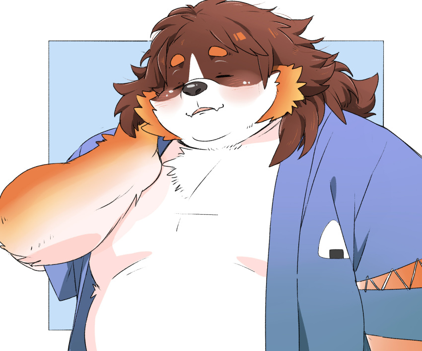 2023 anthro belly bernese_mountain_dog big_belly black_nose blush brown_body canid canine canis closed_eyes domestic_dog hi_res inunoshippo jinbei_(clothing) kemono male mammal molosser mountain_dog omusubi_inaho overweight overweight_male solo swiss_mountain_dog vtuber white_body