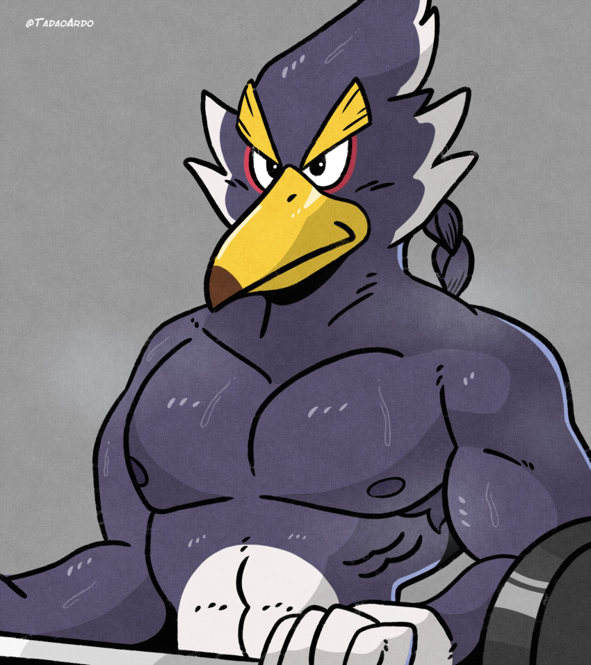 abs absurd_res anthro armpit_hair avian beak biceps bird black_eyes bodily_fluids body_hair braided_hair braided_ponytail breath_of_the_wild exercise hair hi_res holding_barbell holding_object male muscular muscular_anthro muscular_male nintendo nipples pecs ponytail revali rito solo steam sweat tadaoardo the_legend_of_zelda weightlifting workout yellow_beak