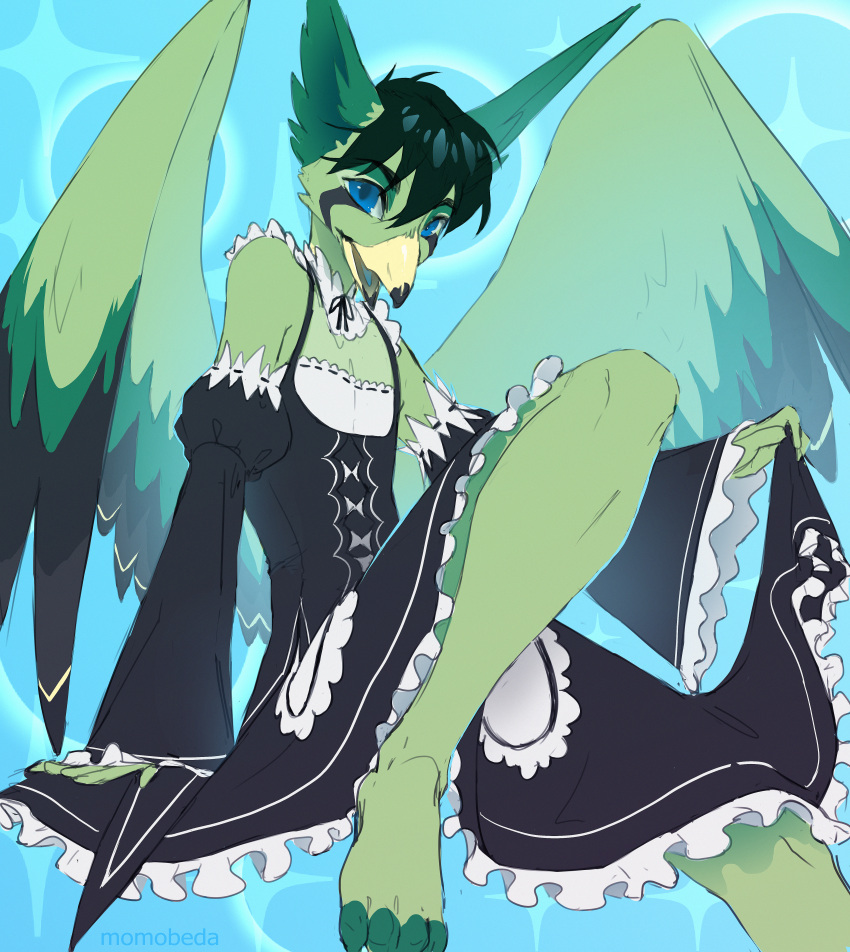 absurd_res anthro avian beak big_ears bird blue_eyes clothed clothing crossdressing enelorin feathers femboy hair hi_res huge_filesize maid_uniform male momobeda open_mouth open_wings paws simple_background solo uniform wings