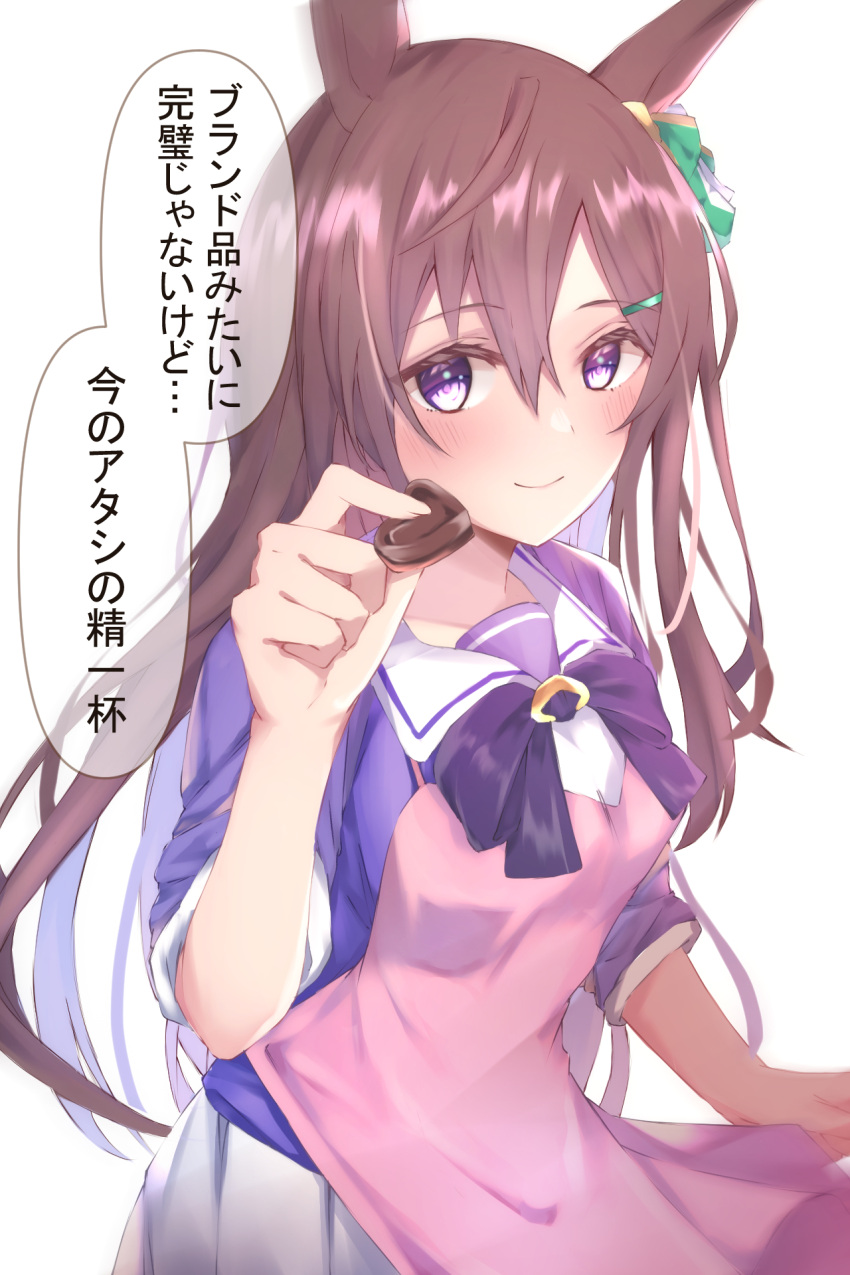 animal_ears apron bad_id bad_pixiv_id blouse blush bow bowtie brown_hair chocolate closed_mouth commentary ear_bow female food hair_ornament hairclip highres hojiro_same holding holding_food horse_ears horse_girl long_hair looking_at_viewer mejiro_dober_(umamusume) pink_apron purple_bow purple_bowtie purple_eyes purple_shirt sailor_collar school_uniform shirt simple_background smile solo standing tracen_school_uniform translated umamusume upper_body valentine white_background white_sailor_collar