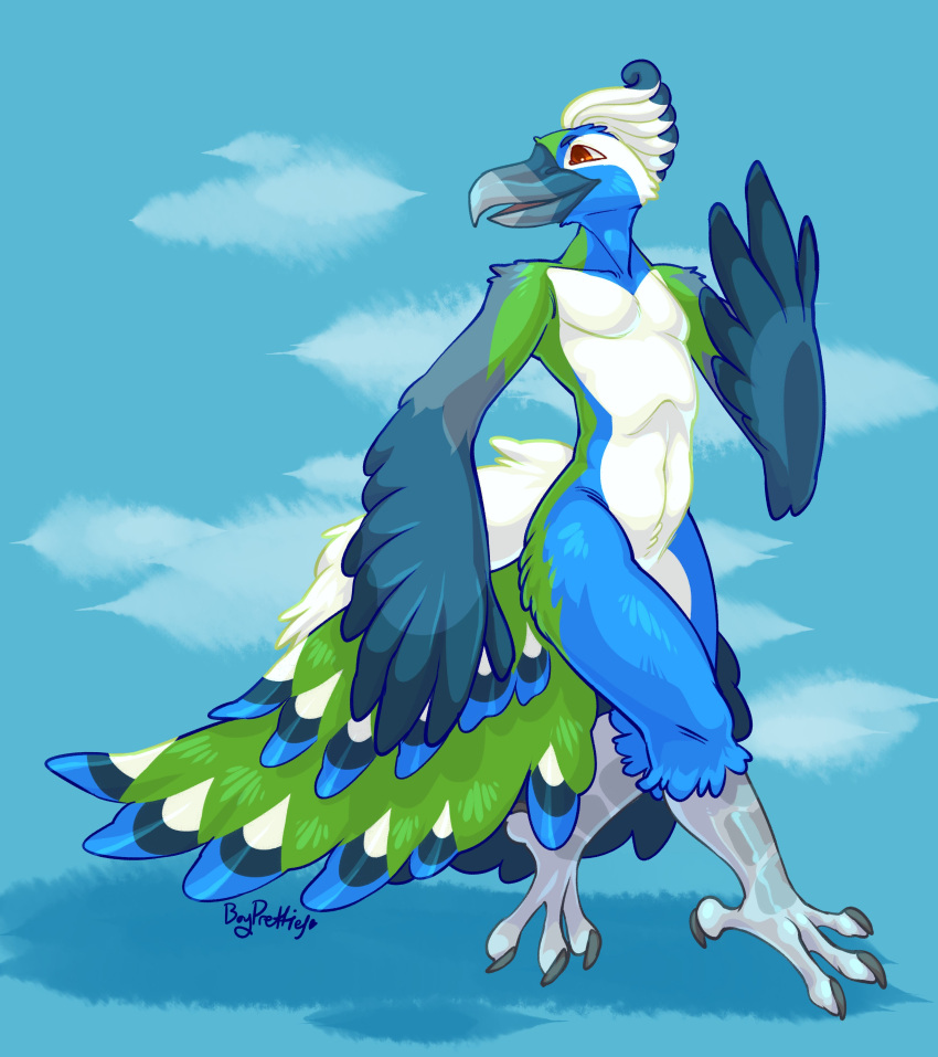 absurd_res anthro avian beak biped bird boypretties claws feathered_arms feathers feet galliform hi_res male peafowl phasianid solo tail tail_feathers talons toes winged_arms wings