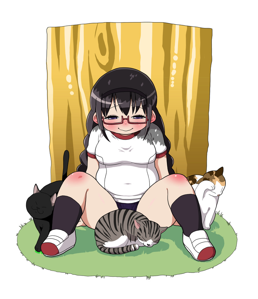 akemi_homura arm_support black_hair blush braid breasts buruma commentary_request fat feline female grass gym_uniform hairband highres long_hair mahou_shoujo_madoka_magica mahou_shoujo_madoka_magica_(anime) medium_breasts purple_eyes shoes sitting smile spoilers tree twin_braids uwabaki wavy_mouth yoshino_norihito