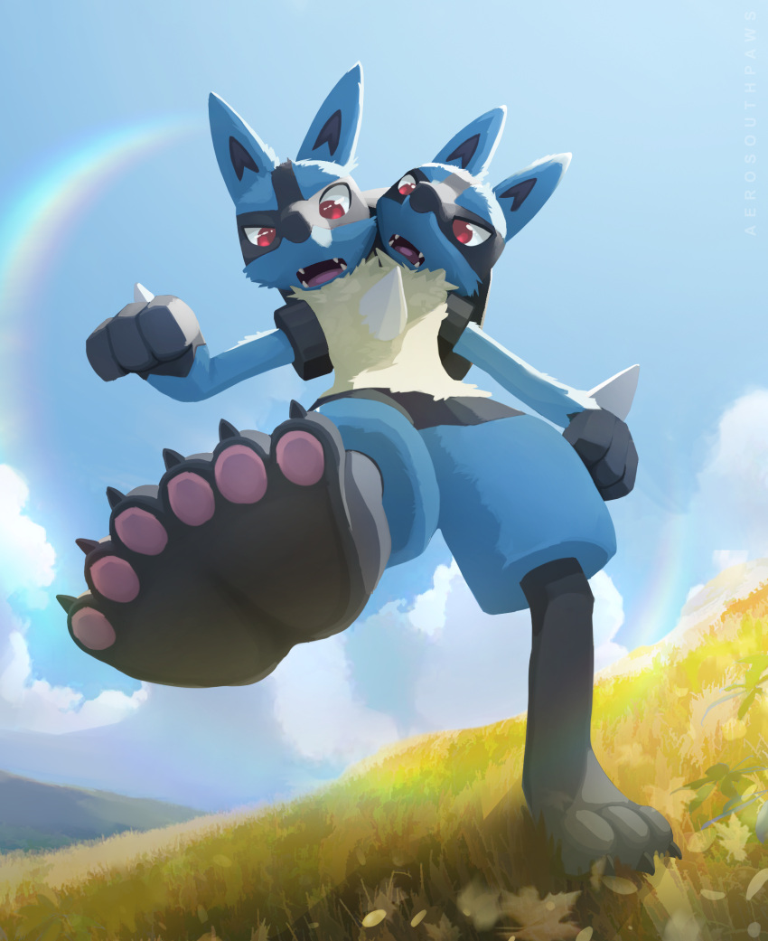 2_heads 3_toes 6_toes aerosouthpaws anthro canid canine claws cloud conjoined conjoined_at_foot duo feet foot_focus generation_4_pokemon grass hi_res hill hindpaw lucario male male/male mammal merging multi_head nintendo outside pawpads paws pink_pawpads plant plantigrade pokemon pokemon_(species) rainbow red_eyes sky soles spikes spikes_(anatomy) standing sun toe_claws toes