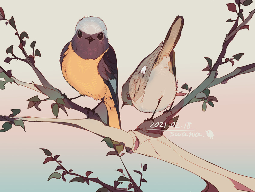 artist_name bad_id bad_pixiv_id bird commentary dated gradient_background in_tree lemming_no_suana looking_at_viewer no_humans original outdoors tree