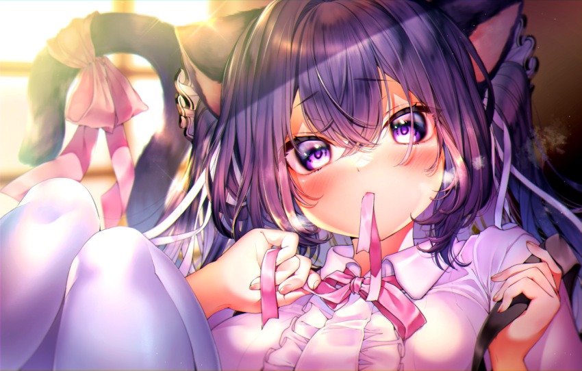 animal_ears blush breath cat_ears cat_girl cat_tail female hair_between_eyes hair_ribbon indie_virtual_youtuber irokiiro long_hair mouth_hold neck_ribbon pink_ribbon purple_eyes purple_hair reikira ribbon solo tail tail_ornament tail_ribbon virtual_youtuber white_legwear window