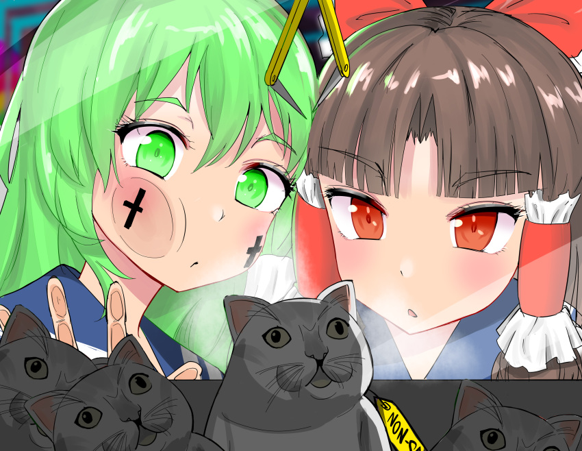 2girls absurdres against_glass benikurage_(cookie) bow brown_hair character_doll chinese_commentary commentary cookie_(touhou) crane_game cross facepaint feline frilled_hair_tubes frills green_eyes green_hair hair_tubes hairbow hakurei_reimu highres kochiya_sanae long_hair manatsu_no_yo_no_inmu miura_cat multiple_girls nekokatana_catana open_mouth parted_bangs paseri_(cookie) portrait red_bow red_eyes touhou