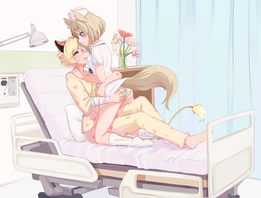 2girls animal_ears arm_around_waist ass_grab bandaged_arm bandages barefoot bed blonde_hair brown_hair cat_ears curtains ear_piercing eye_contact eyepatch fangs fennery_(show_by_rock!!) flower fox_ears fox_tail full_body hand_on_another's_head hand_on_another's_shoulder hand_on_own_ass hat highres hiwonoafu hospital_bed id_card injury kneehighs kneeling laina_(show_by_rock!!) lamp light_brown_hair lion_ears lion_girl lion_tail long_sleeves looking_at_another multicolored_hair multiple_girls no_pants no_shoes nurse nurse_cap on_bed orange_eyes pajamas panties paw_print piercing pillow pink_panties privacy_screen red_eyes red_flower scratches short_hair short_sleeves show_by_rock!! sitting smile socks straddling streaked_hair striped_clothes striped_panties tail two-tone_hair underwear vase white_legwear yellow_panties yuri