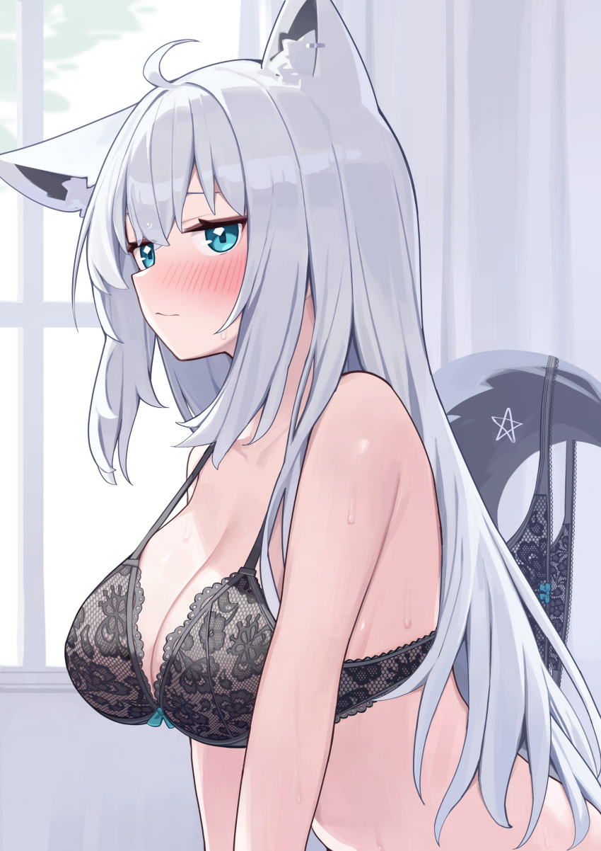 absurdres ahoge animal_ear_fluff animal_ear_piercing animal_ears aqua_eyes black_bra black_panties blush bra breasts cleavage closed_mouth commentary deaver female fox_ears fox_girl fox_tail from_side hair_between_eyes highres hololive indoors lace lace_bra lace_panties large_breasts lingerie long_hair looking_at_viewer paid_reward_available panties panties_around_tail pentagram shirakami_fubuki solo tail underwear underwear_only unworn_panties upper_body virtual_youtuber white_hair