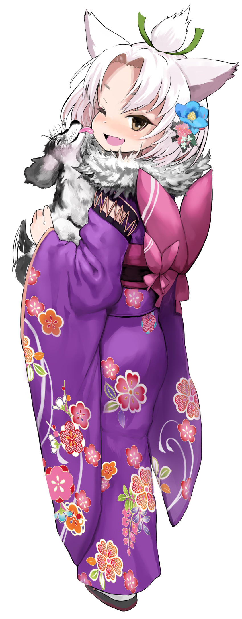 absurdres alternate_costume animal animal_ears azur_lane bad_id bad_twitter_id blush brown_eyes canine female floral_print flower full_body fur_collar hair_flower hair_ornament hair_ribbon highres holding holding_animal holding_dog inactive_account japanese_clothes kimono licking long_sleeves oerba_yun_fang one_eye_closed purple_kimono ribbon sandals sasahara_yuuki short_hair shouhou_(azur_lane) simple_background standing tail tail_wagging tongue topknot white_background white_hair wide_sleeves zouri