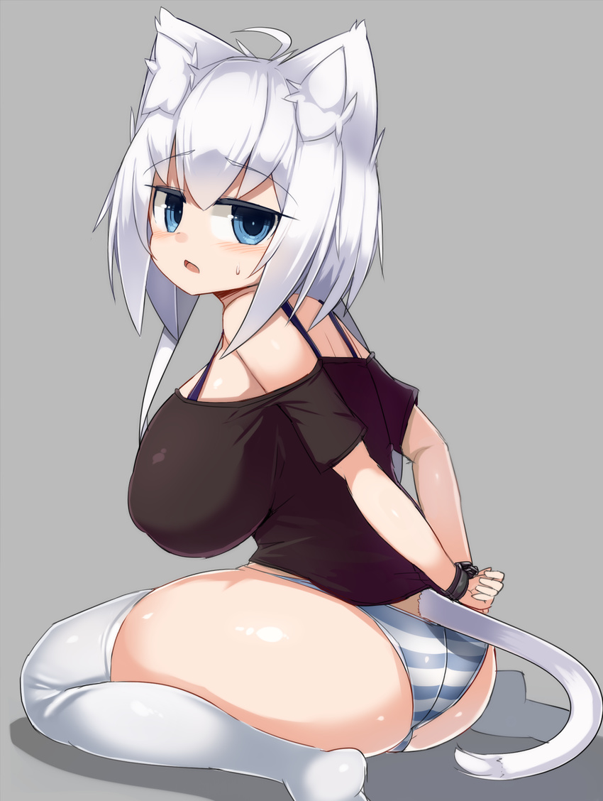 ahoge animal_ears arms_behind_back ass blue_eyes blush bondage bondage bound bound_wrists breasts camisole cat_ears cat_tail commentary_request covered_nipples d: felt_whitesnow female highres huge_breasts jitome looking_at_viewer open_mouth original panties puffy_nipples sawati short_hair_with_long_locks sideboob sitting solo striped_clothes striped_panties sweatdrop tail thick_thighs thighhighs thighs underwear wariza white_hair white_thighhighs