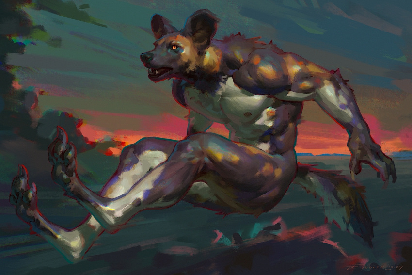 2024 3:2 african_wild_dog amber_eyes anthro biceps biped black_nose black_pawpads canid canine claws digitigrade fangs finger_claws fur hi_res hindpaw jumping male mammal motion_blur multicolored_body multicolored_fur nipples nude pawpads paws pecs running signature solo tail taran_fiddler teeth toe_claws weretober