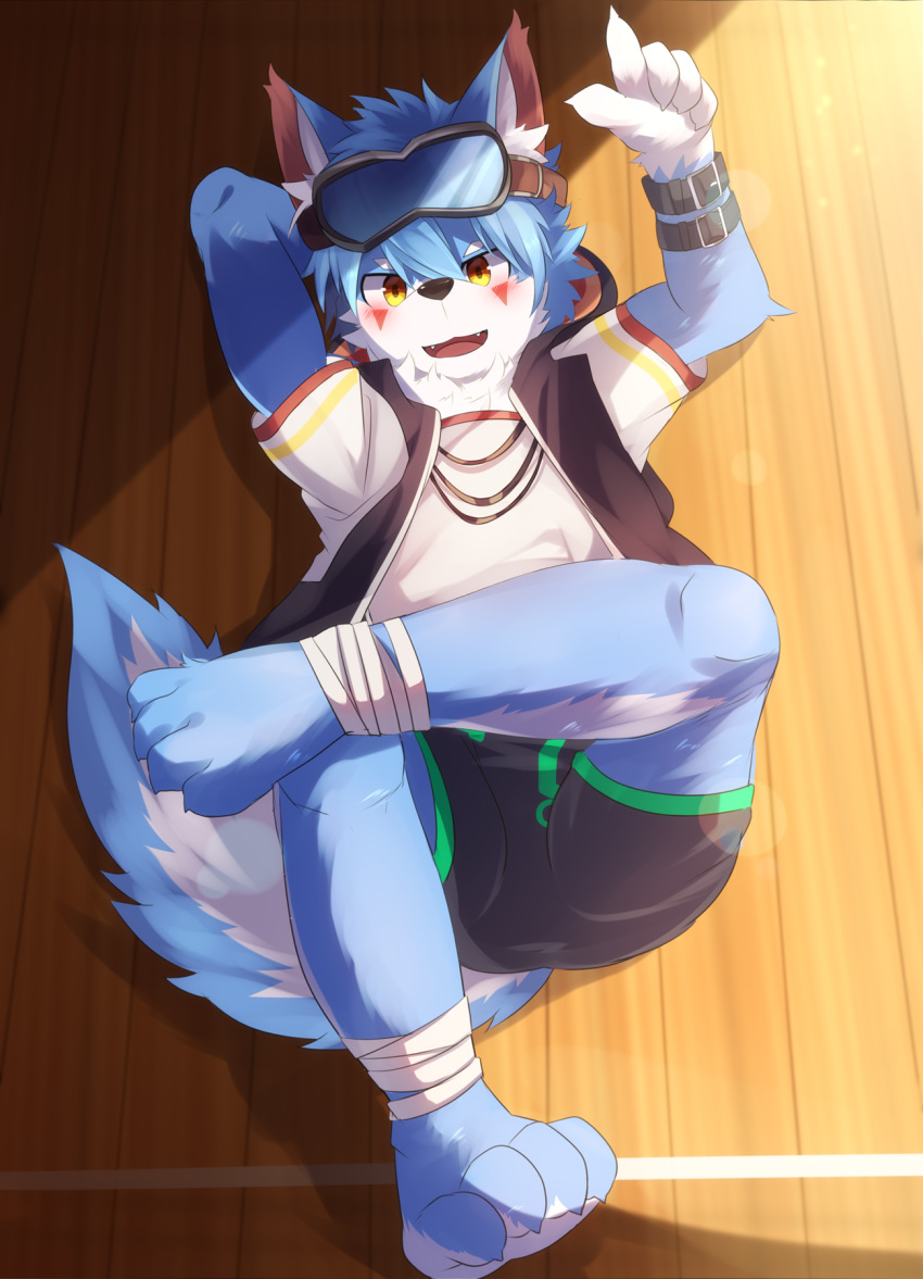 2018 5_fingers anthro blue_body blue_fur bottomwear canid canine canis clothing cute_fangs domestic_dog eyewear fingers floor fur goggles gym hi_res hoodie inside light looking_at_viewer mammal multicolored_body multicolored_fur nekojita open_mouth shorts sunlight topwear two_tone_body two_tone_fur vest white_body white_fur