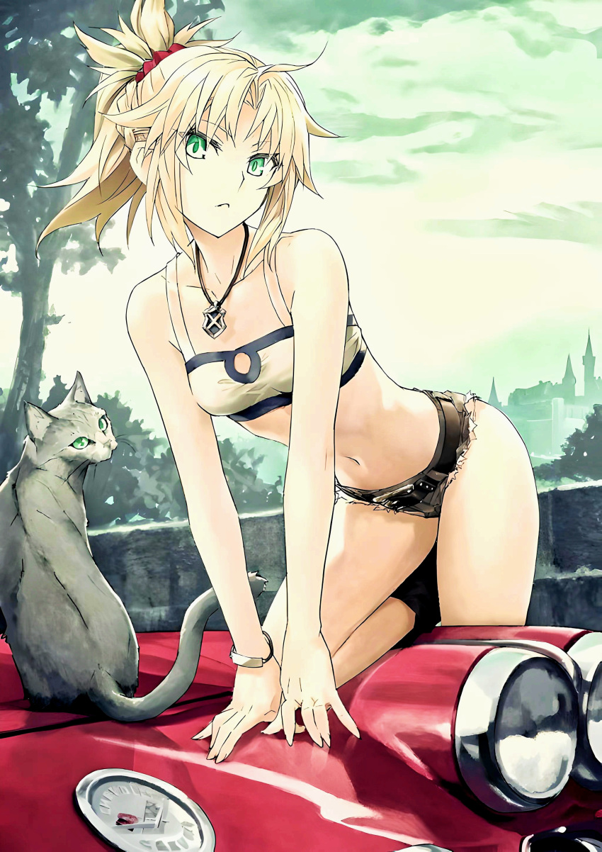 absurdres arm_support bad_fandom_id bad_id bandeau bare_arms bare_legs bare_shoulders blonde_hair breasts car chevrolet chevrolet_corvette chevrolet_corvette_c1 cutoffs denim denim_shorts fate/grand_order fate_(series) feline female green_eyes hair_ornament hair_scrunchie head_tilt highres jewelry konoe_ototsugu leaning_forward micro_shorts midriff mordred_(fate) mordred_(fate/apocrypha) mordred_(memories_at_trifas)_(fate) motor_vehicle navel necklace non-web_source official_art on_car outdoors parted_lips ponytail red_scrunchie resized revealing_clothes scrunchie short_hair short_ponytail shorts small_breasts stomach thighs third-party_source tree upscaled