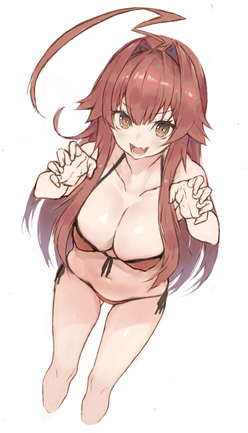 absurdres ahoge bikini breasts brown_bikini brown_eyes brown_hair claw_pose cleavage commentary covered_nipples cropped_legs female hair_between_eyes highres huge_ahoge kantai_collection kuma_(kancolle) large_breasts leaning_forward long_hair looking_at_viewer oerba_yun_fang open_mouth ryo_(tg290) side-tie_bikini_bottom simple_background skin_fang solo swimsuit very_long_hair white_background