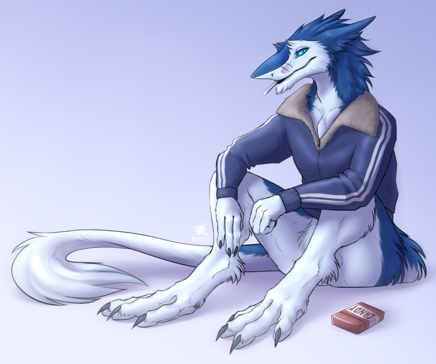 bottomless claws clothed clothing ezcett hi_res jacket looking_at_viewer male partially_clothed sergal sitting smile solo tail tail_tuft topwear tuft