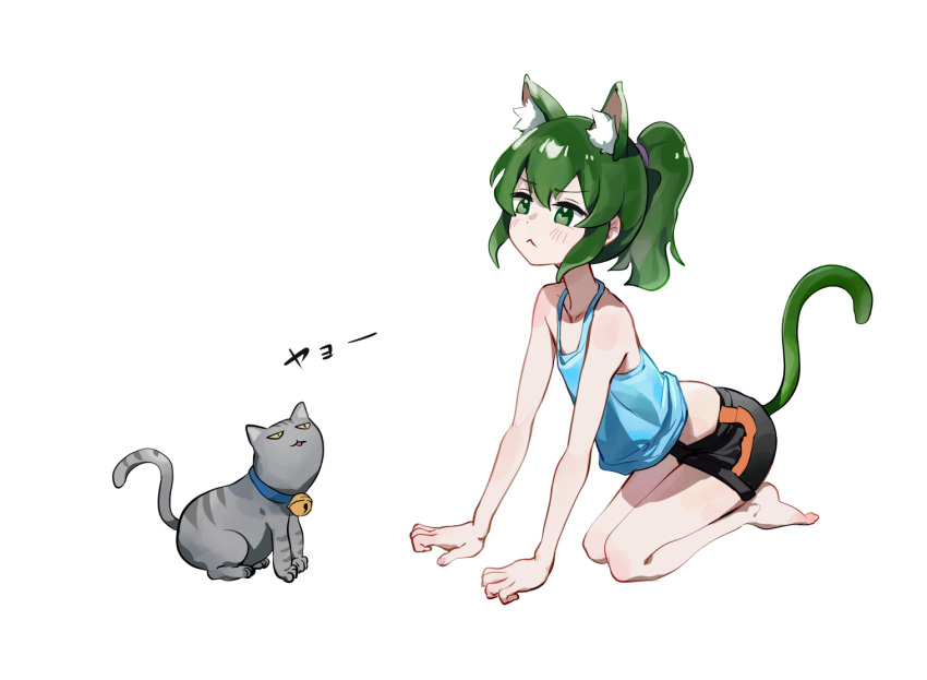 :< all_fours animal_ear_fluff animal_ears bare_arms bare_legs bare_shoulders barefoot bell black_shorts blue_collar blue_tank_top cat_ears cat_girl cat_tail collar commentary_request female green_eyes green_hair grey_cat igarashi_futaba_(shiromanta) kemonomimi_mode long_hair medium_hair midriff mo0o0rae neck_bell ponytail senpai_ga_uzai_kouhai_no_hanashi shorts simple_background solo tail tank_top translation_request white_background