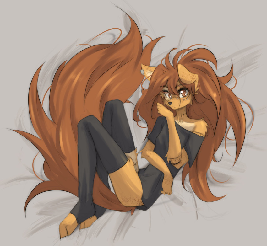 2024 5_fingers anthro apogee_(tinygaypirate) arm_tattoo breasts brown_eyes brown_hair brown_tail canid canine canis clothed clothed_anthro clothed_female clothing countershade_torso countershading digital_media_(artwork) domestic_dog ear_piercing feet female fingers fur hair hi_res high-angle_view inner_ear_fluff legwear long_hair long_tail looking_at_viewer lying mammal neck_tattoo on_side pantsless pantsless_anthro pantsless_female partially_clothed partially_clothed_anthro partially_clothed_female piercing small_breasts solo tail tan_body tan_fur tattoo thigh_highs tinygaypirate toeless_legwear toeless_thigh_highs toes tuft