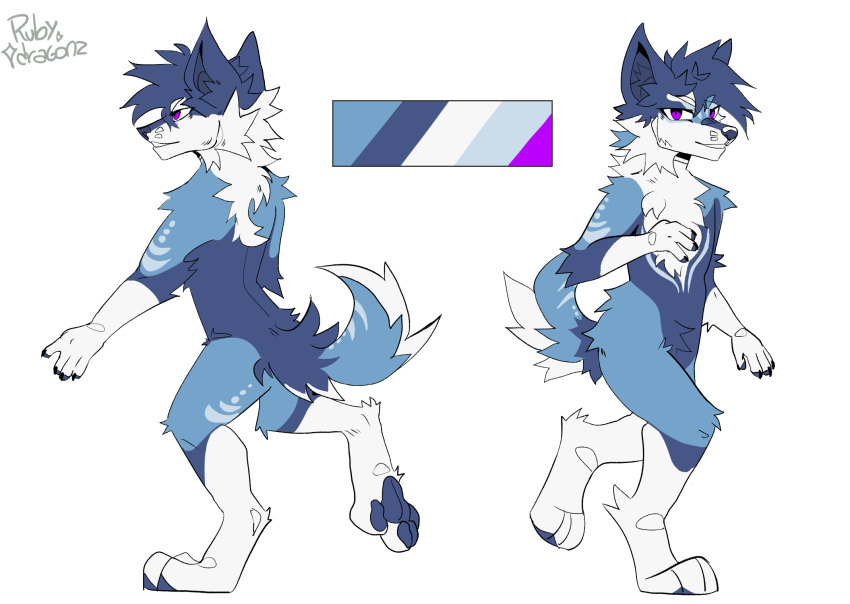 alpha_channel aroused blue_body canid canine canis domestic_dog hi_res husky mammal model_sheet nordic_sled_dog spitz