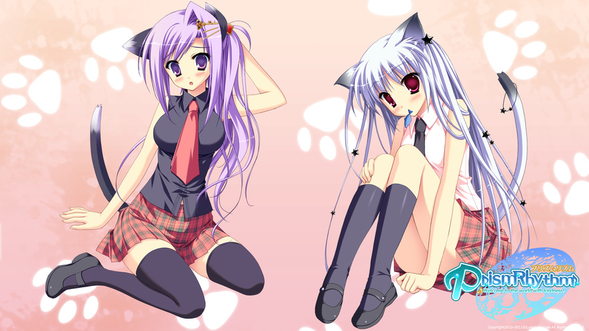 2girls animal_ears catgirl long_hair lump_of_sugar mizune_gin prism_rhythm seifuku sesena_yau tail thighhighs tokitou_kasumi