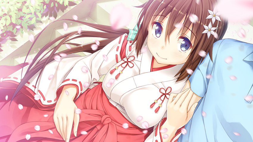 blue_eyes brown_hair erondo game_cg honjou_masato japanese_clothes koinaka long_hair miko nonohara_mio petals