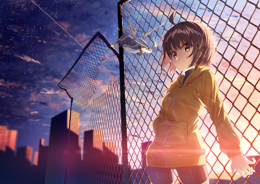 :< ahoge backlighting banned_artist bike_shorts breasts broken_fence brown_eyes brown_hair chain-link_fence commentary_request dragon fence hand_in_pocket hood hoodie kuu_(under_night_in-birth) linne looking_at_viewer short_hair small_breasts solo_focus sunset under_night_in-birth yusano