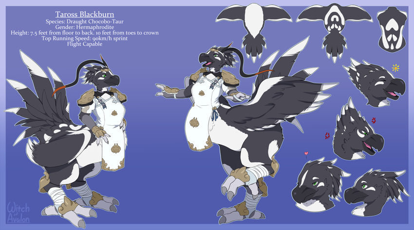 avian avian_taur beak biped biped_taur chocobo chocobo_taur clothed clothing english_text feathers feet female final_fantasy model_sheet monk solo square_enix talons taross taur text toes wings witchofavalon