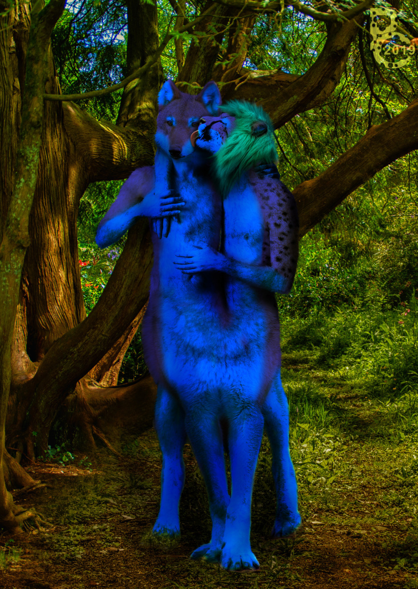 absurd_res anthro blue_body blue_fur canid canine canis cheetah conjoined day felid feline forest fur hi_res hug implied_transformation licking male mammal merging multi_body multi_head multifur nude photo_manipulation photomorph plant pythos_cheetah taur third-party_edit tongue tongue_out transformation tree why wolf