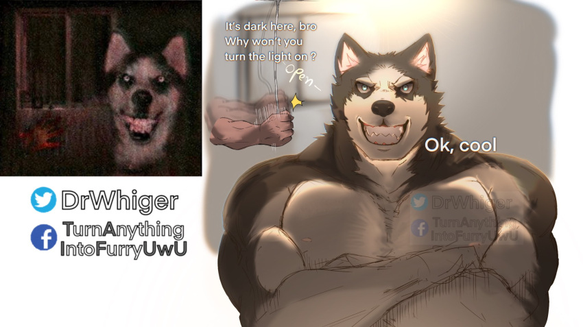 2021 anthro anthrofied canid canine canis countershading creepypasta crossed_arms dialogue domestic_dog dr.whiger duo english_text hi_res humor husky looking_at_viewer male mammal muscular muscular_anthro muscular_male nordic_sled_dog offscreen_character open_mouth open_smile photo smile smile.dog solo_focus spitz teeth text url watermark