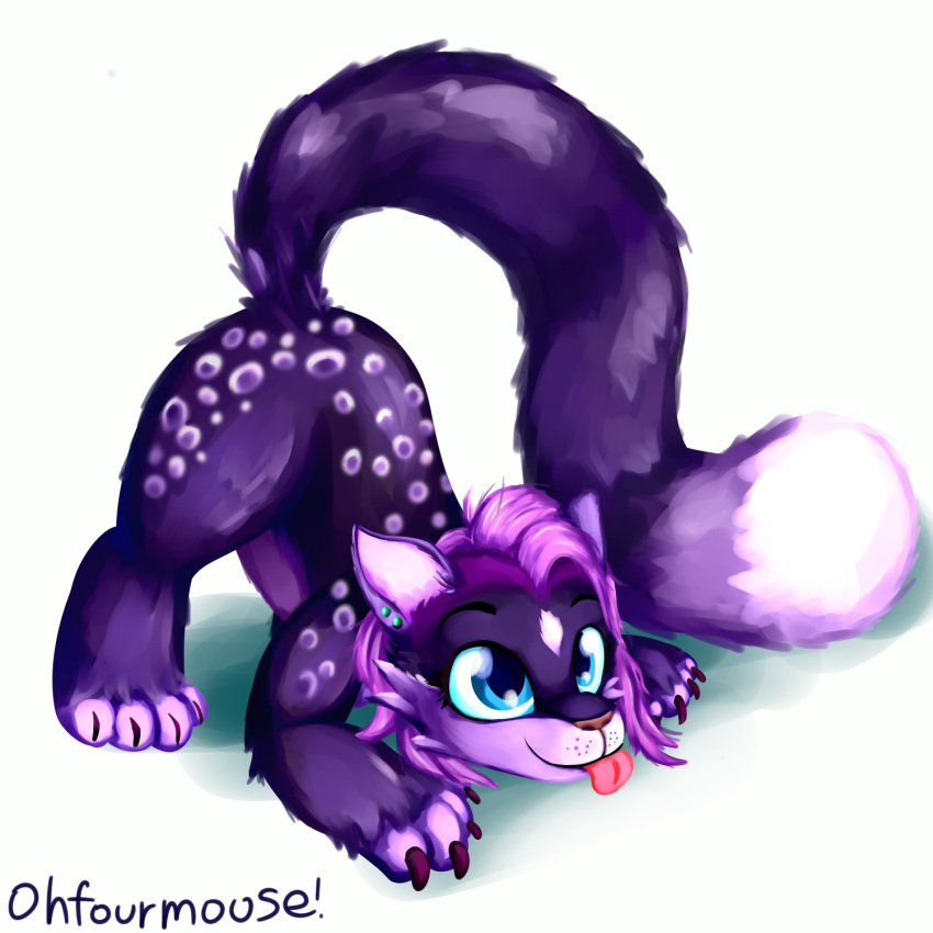 1:1 ass_up blep domestic_cat ear_piercing ear_ring felid feline felis feral fur hair hi_res looking_up mammal markings ohfourmouse piercing pink_tongue play_bow_pose playful purple_body purple_fur purple_hair raised_tail ring_piercing shadow simple_background solo tail tongue tongue_out tuft