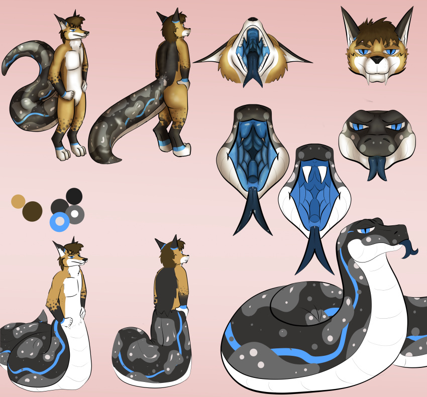 3_toes 5_fingers absurd_res anthro apode belly black-backed_jackal black_body black_ears black_nose black_scales black_tail blue_body blue_eyes blue_insides blue_lines blue_mouth blue_scales blue_tail blue_tongue brown_body brown_fur brown_hair canid canine canis color_swatch deekay_(somefurryidk) draconcopode featureless_crotch feet feral fingers forked_tongue fur hair hi_res hybrid jackal kobada_(artist) legless living_tail male male_(lore) male_anthro male_feral mammal model_sheet multiple_forms nude nude_anthro nude_male pink_background python reptile scales scalie serpentine simple_background snake snake_tail solo standing tail toes tongue unusual_anatomy unusual_tail white_belly white_body white_feet white_fur white_inner_ear white_scales white_tail white_toes