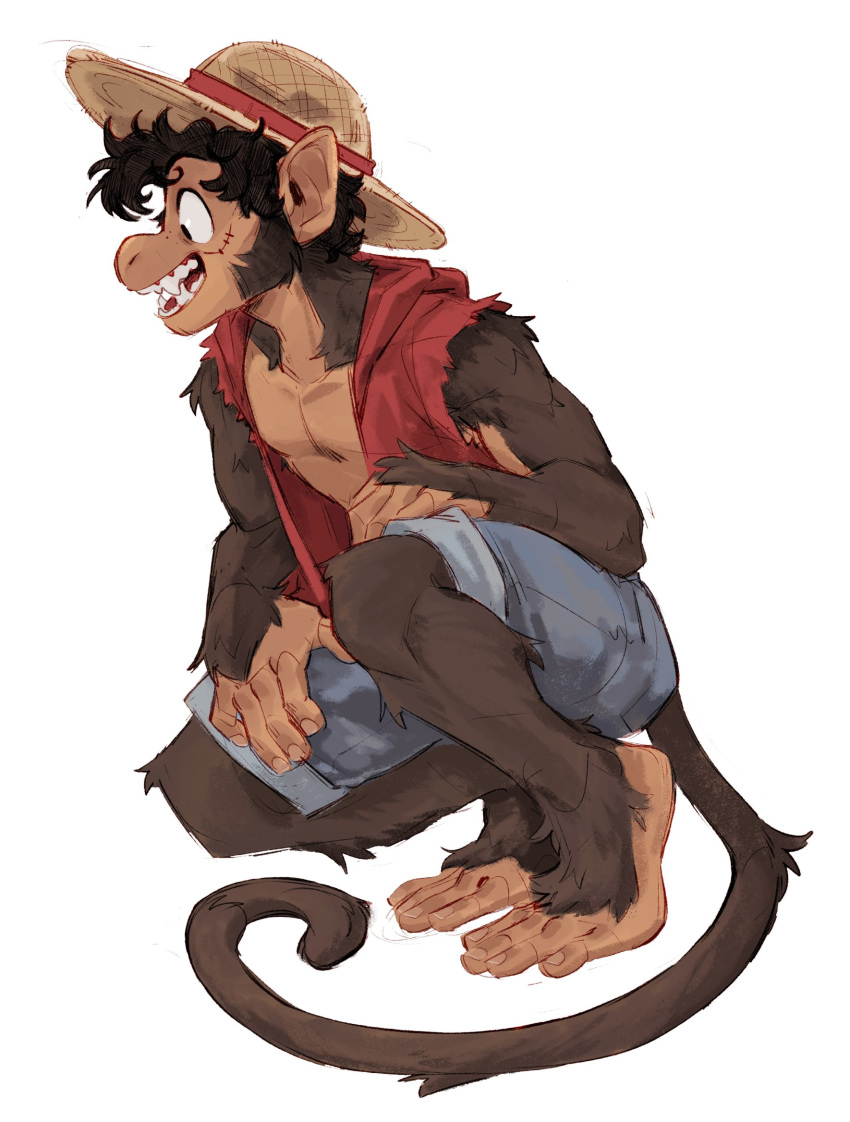 alternate_species anthro bare_chest bottomwear brown_body brown_fur clothing crouching eenocs fur furrification haplorhine hat headgear headwear hi_res male mammal monkey monkey_d._luffy one_piece primate scar shorts simple_background solo straw_hat white_background