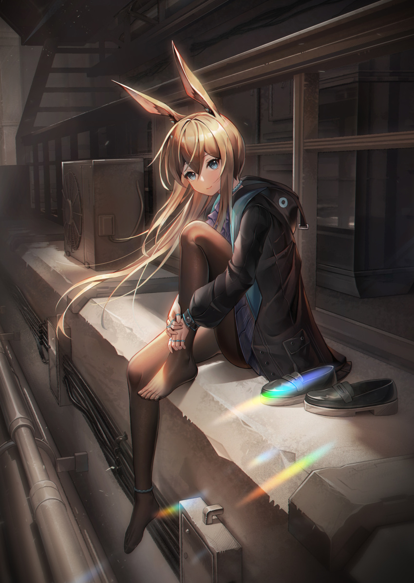 absurdres amiya_(arknights) animal_ears arknights ascot black_jacket black_pantyhose blue_ascot blue_collar blush brown_hair cable collar concrete condenser_unit female hair_between_eyes highres hood hood_down hooded_jacket hugging_own_legs jacket knee_up long_hair looking_at_viewer md5_mismatch open_clothes open_jacket pantyhose rabbit_ears rabbit_girl shoes sitting smile solo stairs unworn_shoes wa_(user_snch2757)