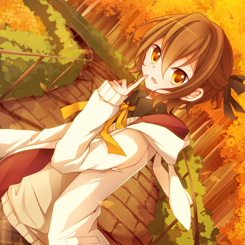 akane_(goma) animal_ears brown_hair bunny_ears bunny_tail doll dutch_angle fake_animal_ears footwear goma_(11zihisin) highres hood hoodie male male_focus open_mouth original outdoors school_uniform short_hair shorts smile solo sweater_vest tail trap yellow_eyes