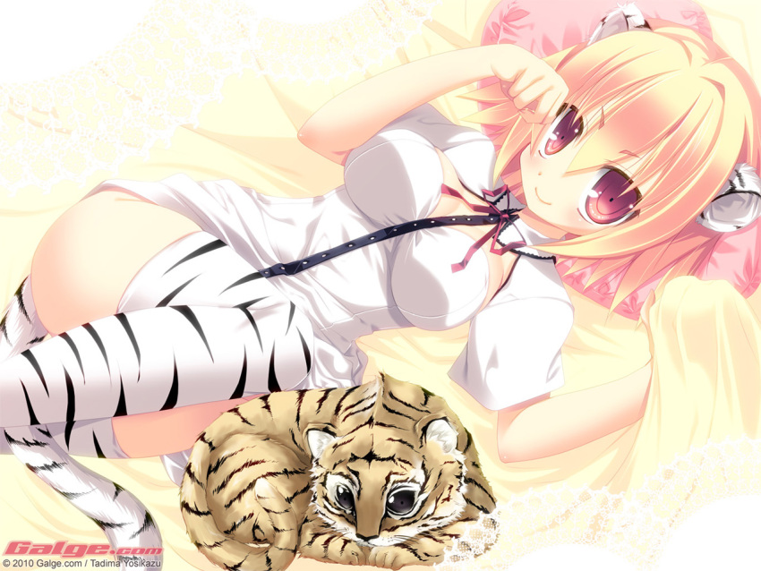 animal_ears blonde_hair duplicate galge.com tail thigh-highs